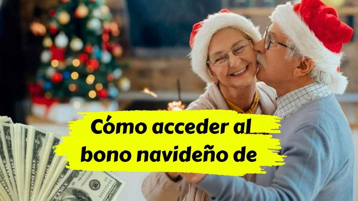 Cómo acceder al bono navideño de $150 para pensionados antes del 20 de diciembre