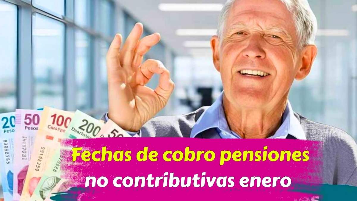 Fechas de cobro pensiones no contributivas enero 2026 pagos confirmados y gestiones en febrero